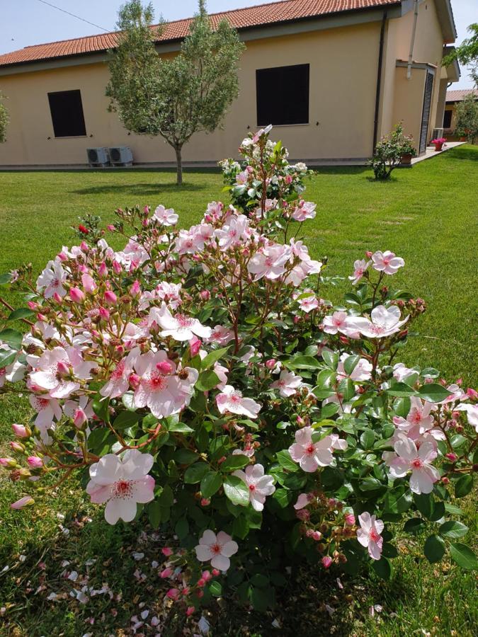 Agriturismo Severini Фонтебланда Экстерьер фото