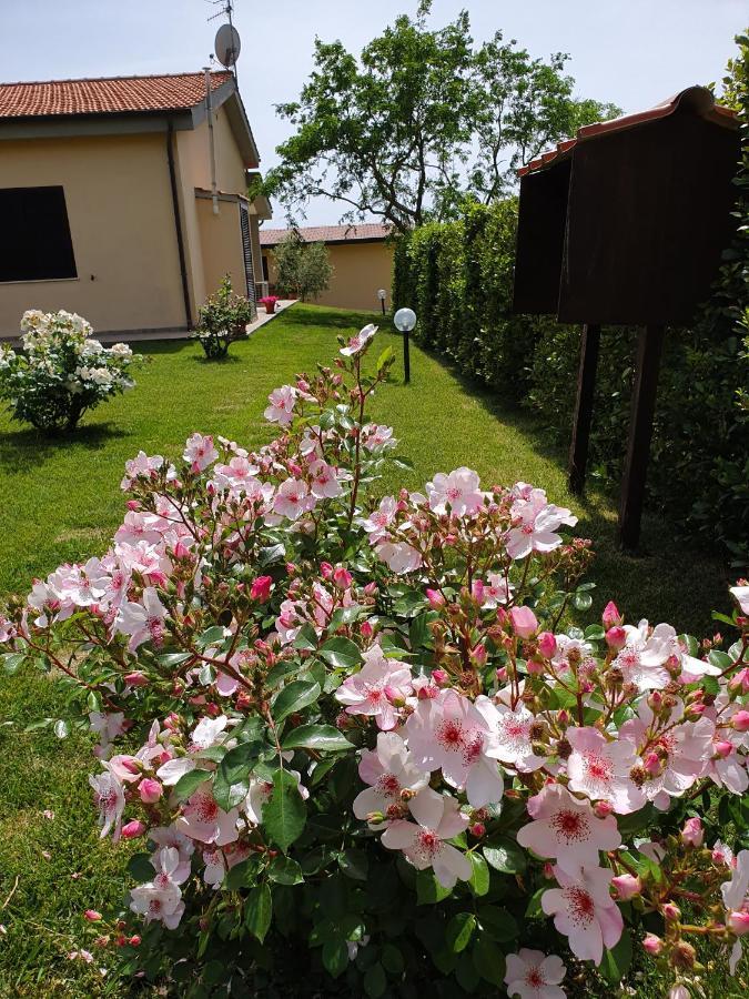 Agriturismo Severini Фонтебланда Экстерьер фото