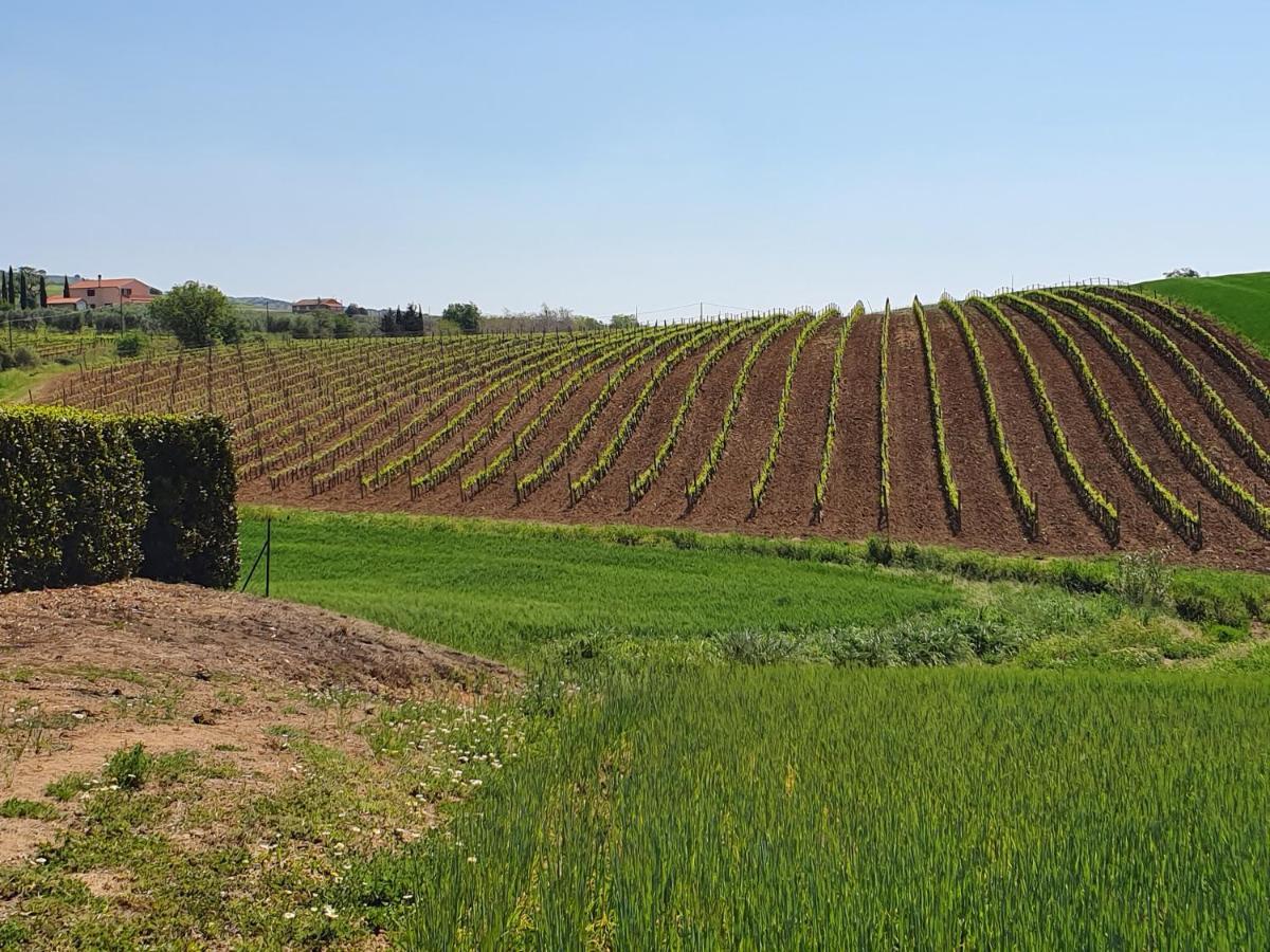 Agriturismo Severini Фонтебланда Экстерьер фото